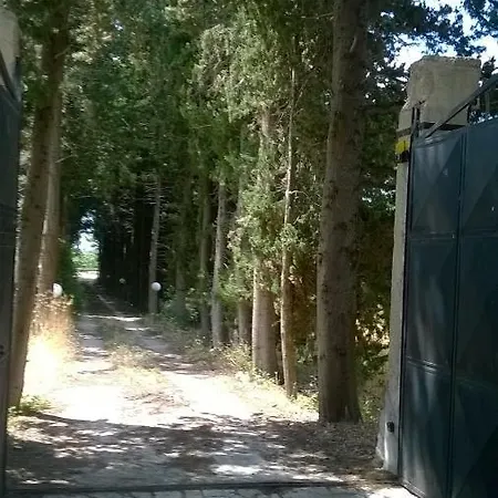 Tranquilla San Vito dei Normanni