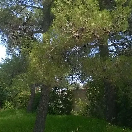 Tranquilla