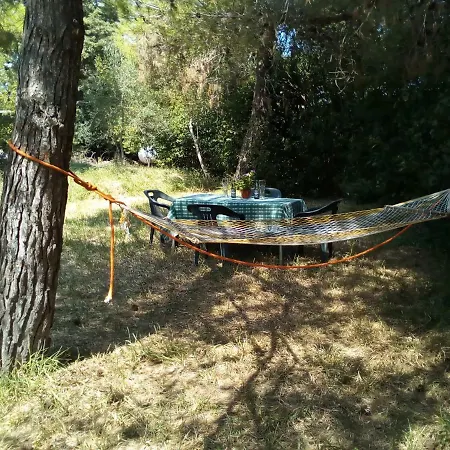 Tranquilla San Vito dei Normanni