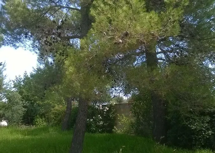 Tranquilla